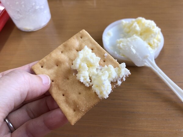 愛知牧場乗馬体験バター作り体験